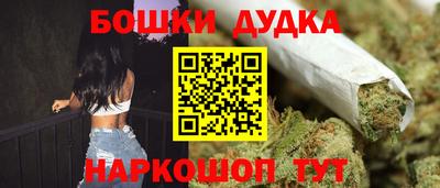 сатива Кингисепп