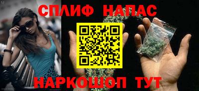 сатива Кингисепп