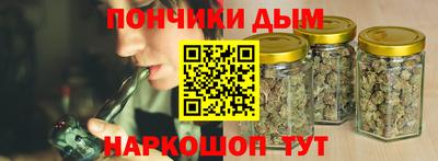 сатива Кингисепп