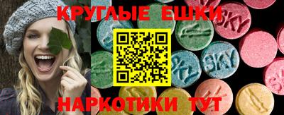 сатива Кингисепп