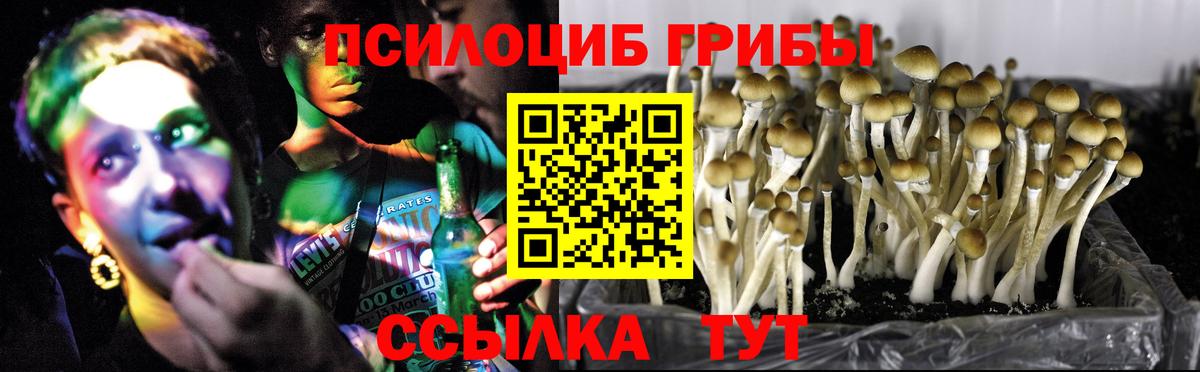 Псилоцибиновые грибы Psilocybine cubensis  Вход с VPN  Азов 